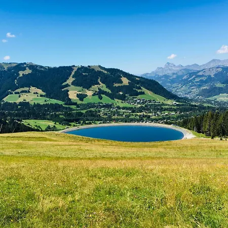 Fleur Des Montagnes プラーズ・シュル・アルリー